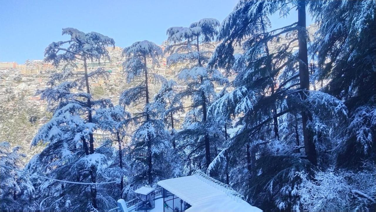 Mountain Zest-Simla Royale Near Mall Road-Free Pickup From Railway Station Simla Extérieur photo